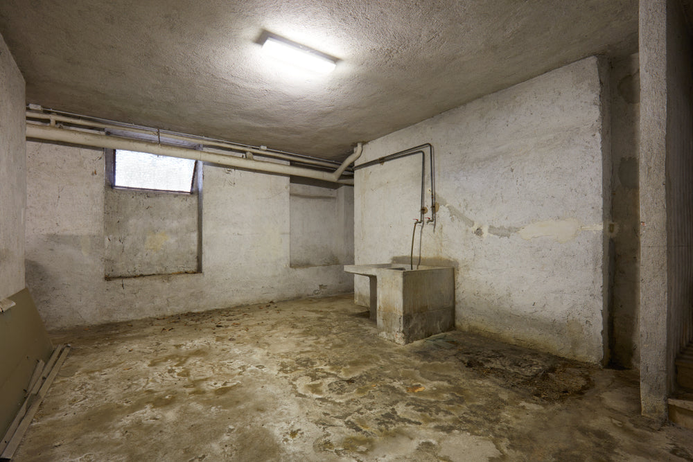 Bare, stained concrete basement with exposed pipes, a small high window, fluorescent light, and an old utility sink against cracked walls.