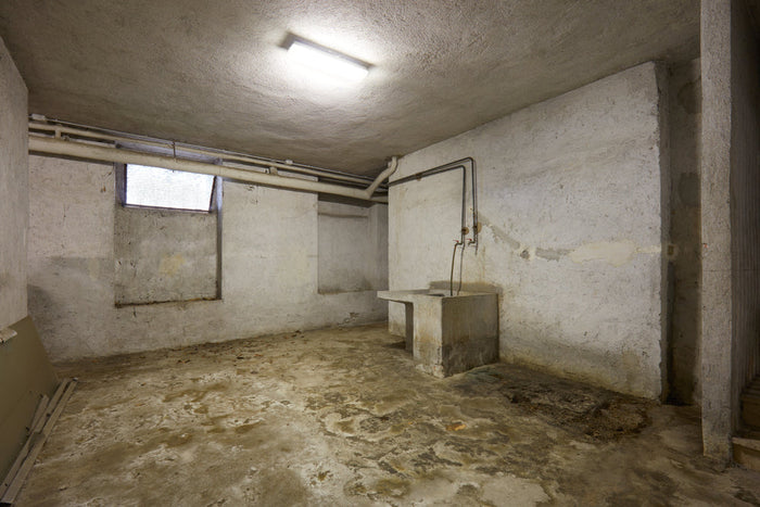 Bare, stained concrete basement with exposed pipes, a small high window, fluorescent light, and an old utility sink against cracked walls.