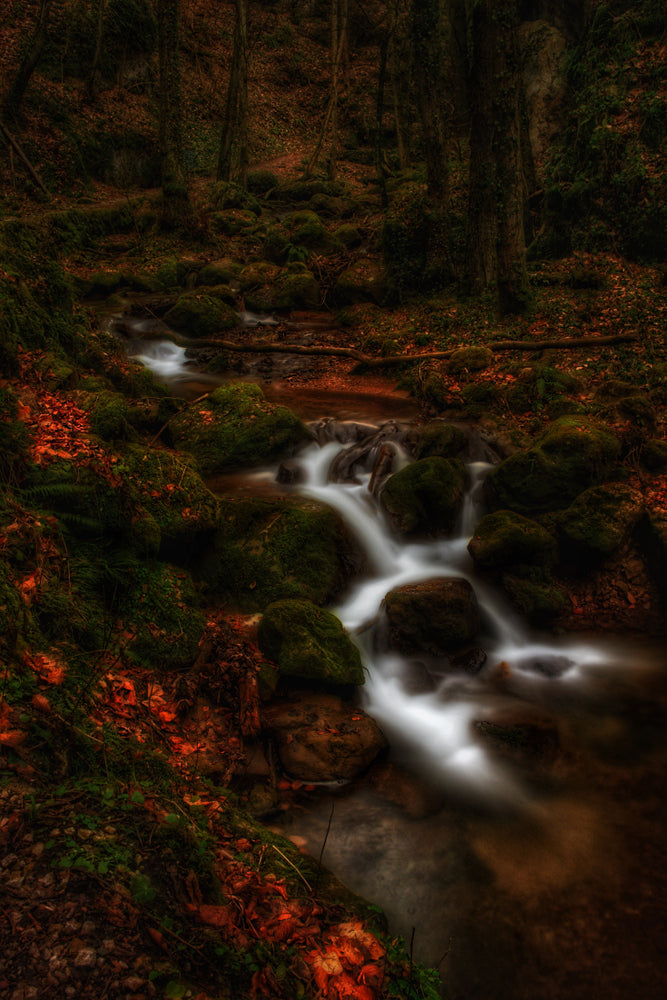 A small creek tumbling over mossy rocks through a dim autumn forest, long-exposure water blurred silky white, fallen orange leaves on the banks.