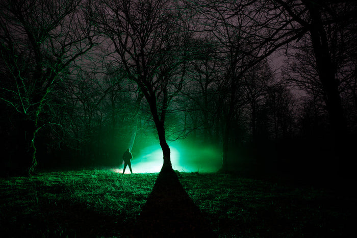 A lone figure standing among bare trees in a dark forest at night, lit from behind by an eerie green glow and mist.