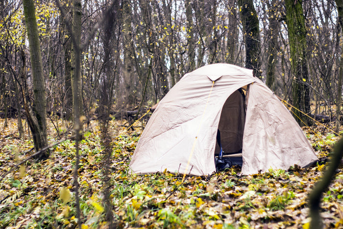 Light-colored dome tent stands open in a sparse autumn forest, surrounded by fallen leaves, bare trees, and scattered yellow foliage.