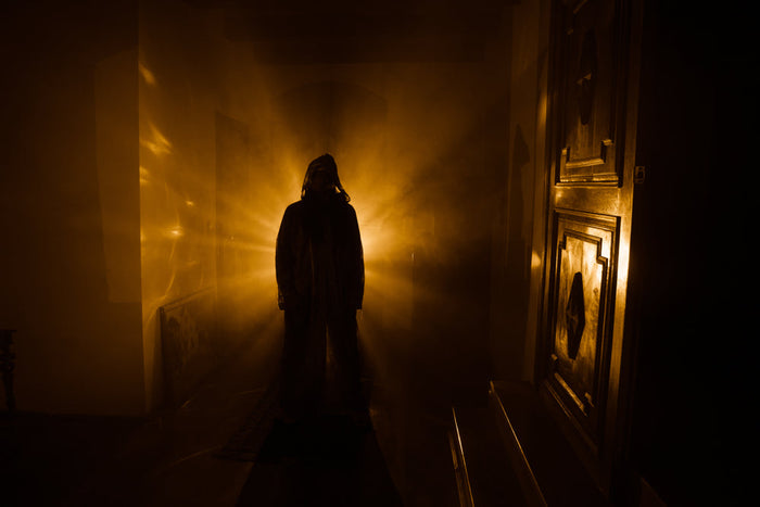 A dark figure standing in a dim hallway, backlit by a burst of golden light and haze, face lost in shadow, an old door and framed pictures alongside.
