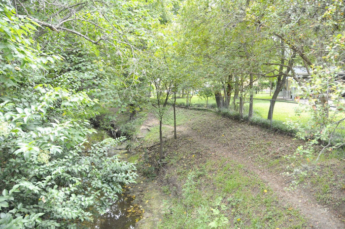 A narrow creek running through green trees and brush in daylight, with a dirt bank and a chain-link fence separating it from a grassy park beyond.